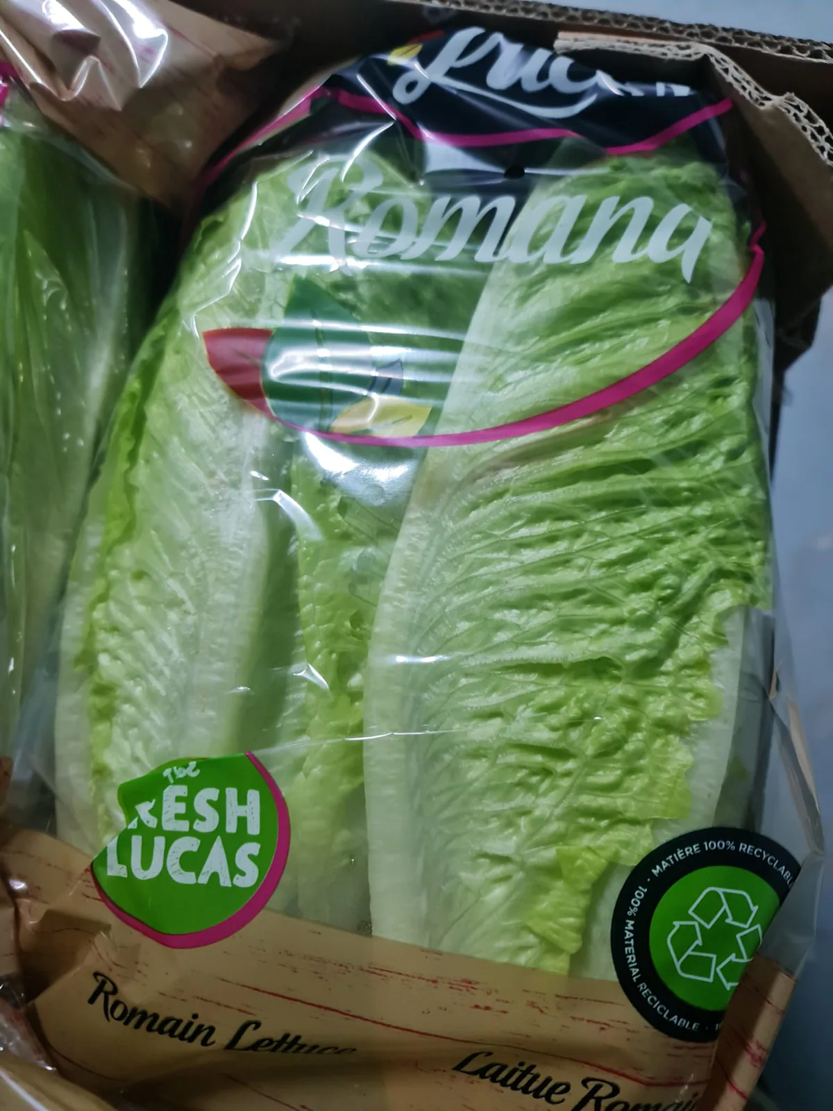 Lechugas romanas frescas envasadas para expedición